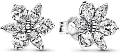 Γυναικεία Σκουλαρίκια Pandora 292633C01