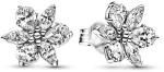 Γυναικεία Σκουλαρίκια Pandora 292633C01