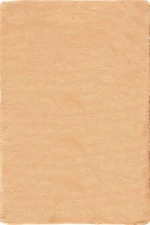 Χαλί Super Fluffy Camel 140X200cm