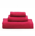 Πετσέτα Brand Cherry Kentia Χεριών 40x60cm 100% Βαμβάκι