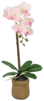 Τεχνητό Φυτό Σε Κασπώ Ορχιδέα 013.816588 45cm Pink-Multi