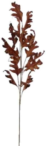 Λουλούδι - Κλαδί 030281 90cm Terracotta