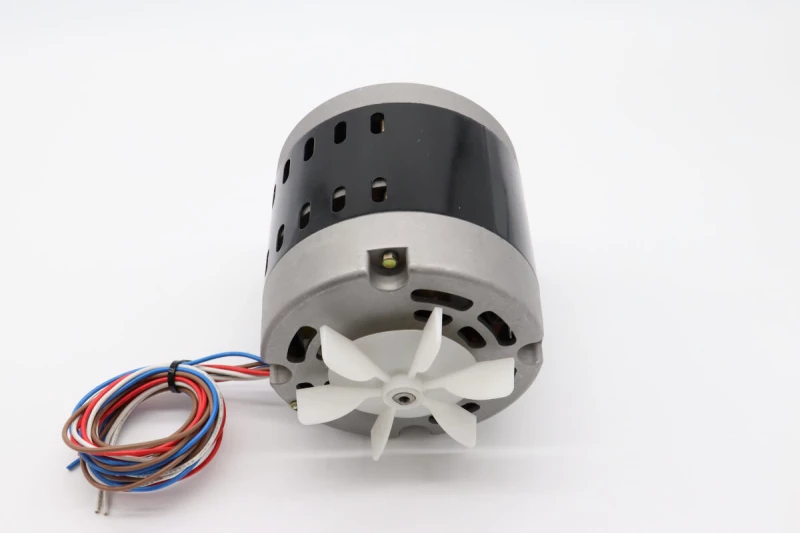 MSM5 - Motor #29