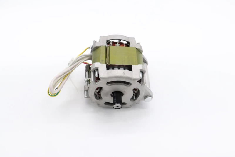 MS220 - Motor #58