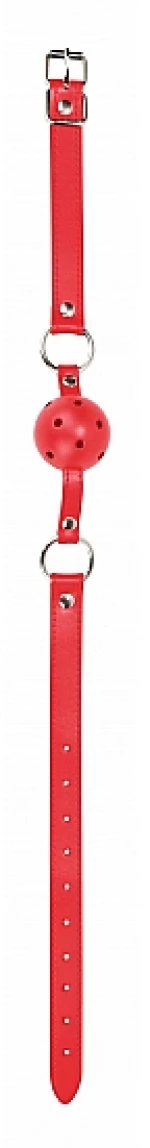 Gag Ball - Red