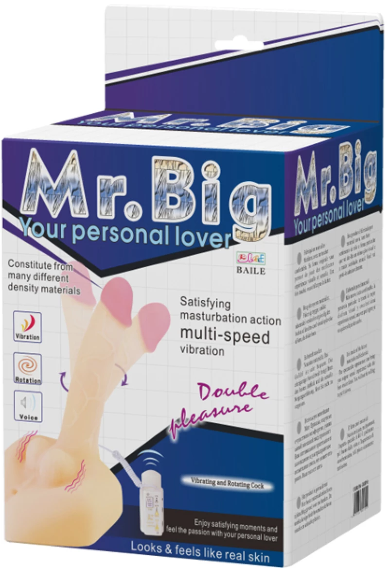BAILE - Mr. BIG Rotation & Vibration