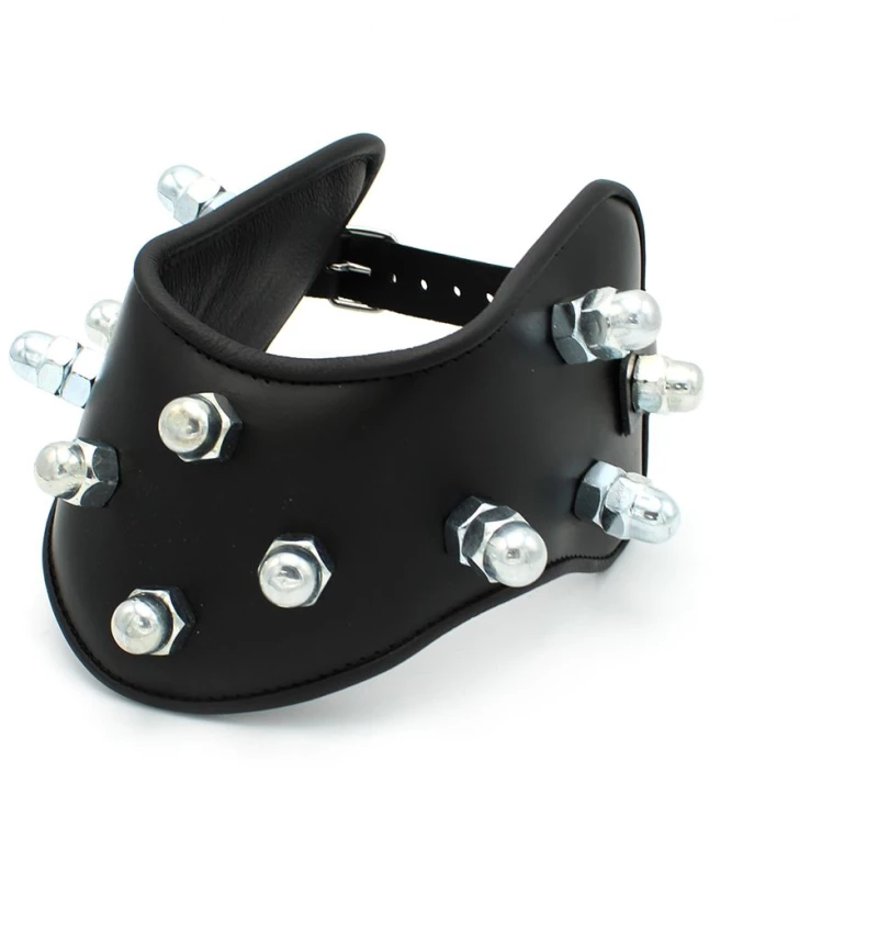 Leather Padded Collar Spikey Nuts