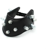 Leather Padded Collar Spikey Nuts