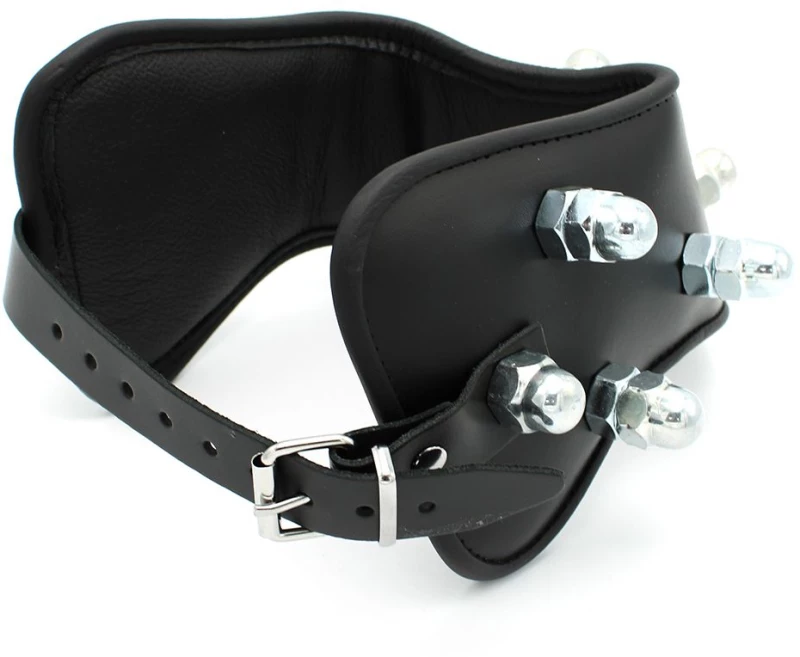 Leather Padded Collar Spikey Nuts