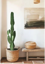 CANDELABRA CACTUS ΦΥΤΟ ΤΕΧΝΗΤΟ ΣΕ ΓΛΑΣΤΡΑ 120 PU ΠΡΑΣΙΝΟINTHEBOX