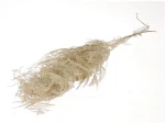 Asparagus φυσικό Η90cm