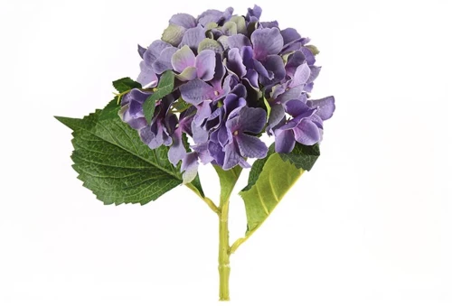Κλαδί ορτανσία μωβ Η46cm