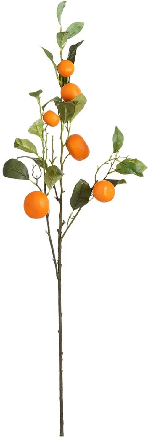 Κλαδι πορτοκαλίαλιάς Η104cm