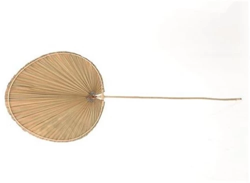 κλαδί φοίνικα 36x105 cm