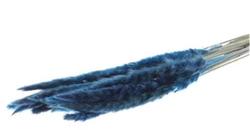 Κλαδιά Pampas 70gr μπλε