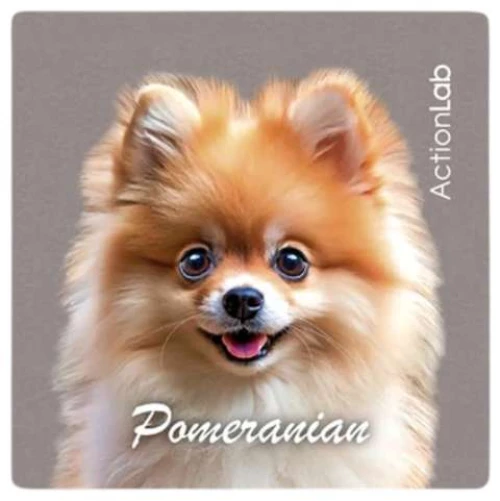 Action Lab Μαγνητάκι Magnet Pomeranian