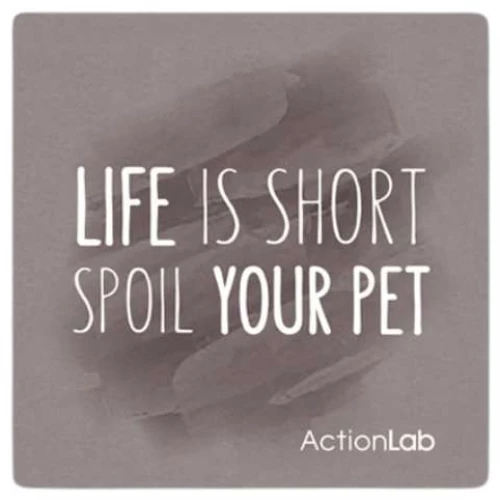 Action Lab Μαγνητάκι Magnet Life is Short Spoil Your Pet