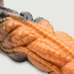 Dildo Σιλικόνης Πλοκάμι Ravager Rippled Tentacle Silicone Dildo