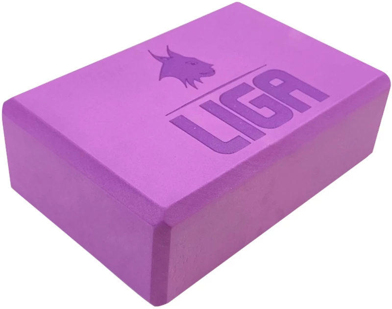 LIGA LIGA YOGA BLOCK PURPLE YB-1P