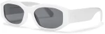 CHPO Brooklyn Unisex Sunglasses White