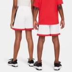 Nike Swoosh Multi+ FV0269 FV0269-100 NIKE Λευκό