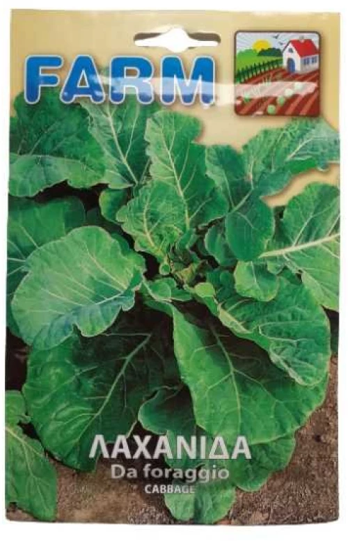 Λαχανίδα