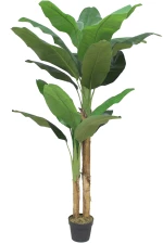 BANANA ΔΕΝΤΡΟ ΤΕΧΝΗΤΟ ΣΕ ΓΛΑΣΤΡΑ 180 PEVA ΠΡΑΣΙΝΟINTHEBOX