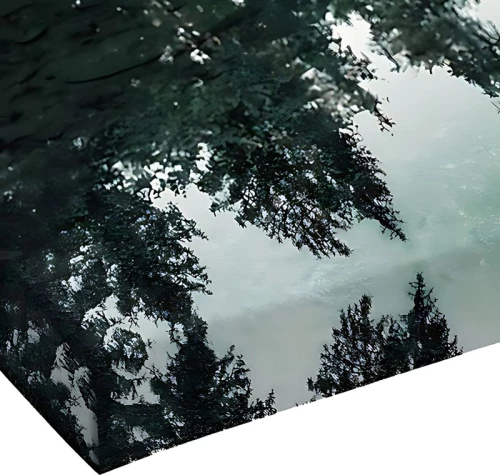 Πίνακας σε καμβά Siely pakoworld με ψηφιακή εκτύπωση 40x3x60εκ