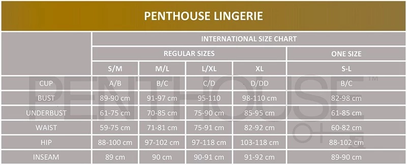 PENTHOUSE AFTER SUNSET CHEMISE BLUE