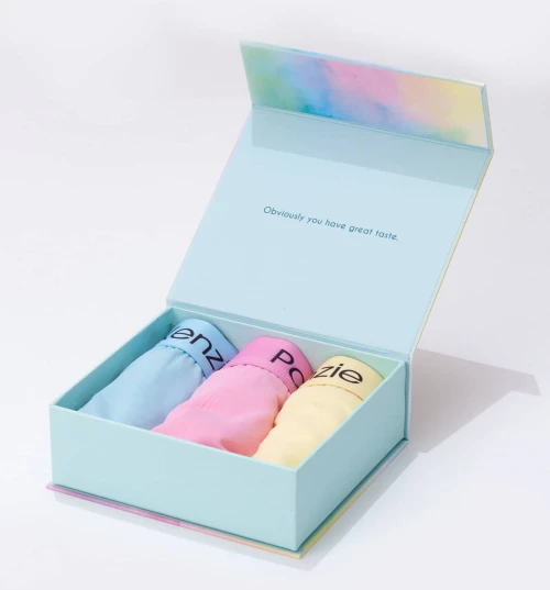 Paul Kenzie Rainbow Boxer 4