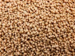 New Canariz - MAGICPERL - 5KG