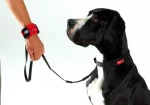 PatentoPet Hands Free λουρί