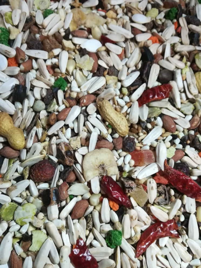 Manitoba Tropical Big Parrots - 2KG
