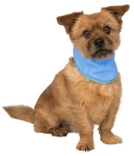 Trixie CoolPets Μπαντάνα Σκύλου για Δροσιά  SMALL 20-30 CM - Small