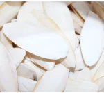 Σουπιοκόκαλα Για Ωδικά Πτηνά 10-15cm - 1KG χύμα