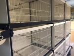 ITALGABBIE Κωδ:67 VIOLA Επαγγελματική Ζευγαρώστρα