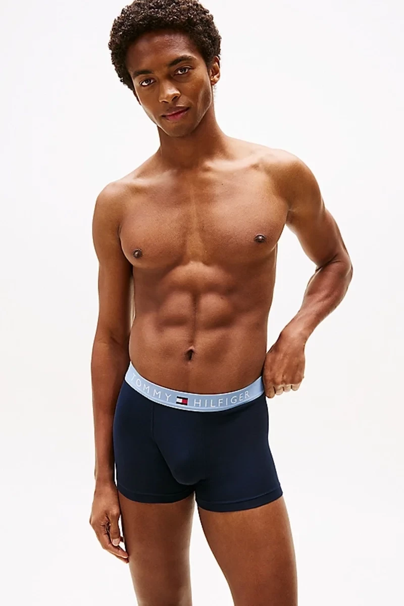 ΑΝΔΡΙΚΑ BOXER TOMMY HILFIGER 3ΤΜΧ. UM0UM03181 0TV