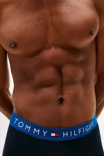 ΑΝΔΡΙΚΑ BOXER TOMMY HILFIGER 3ΤΜΧ. UM0UM03181 0TV