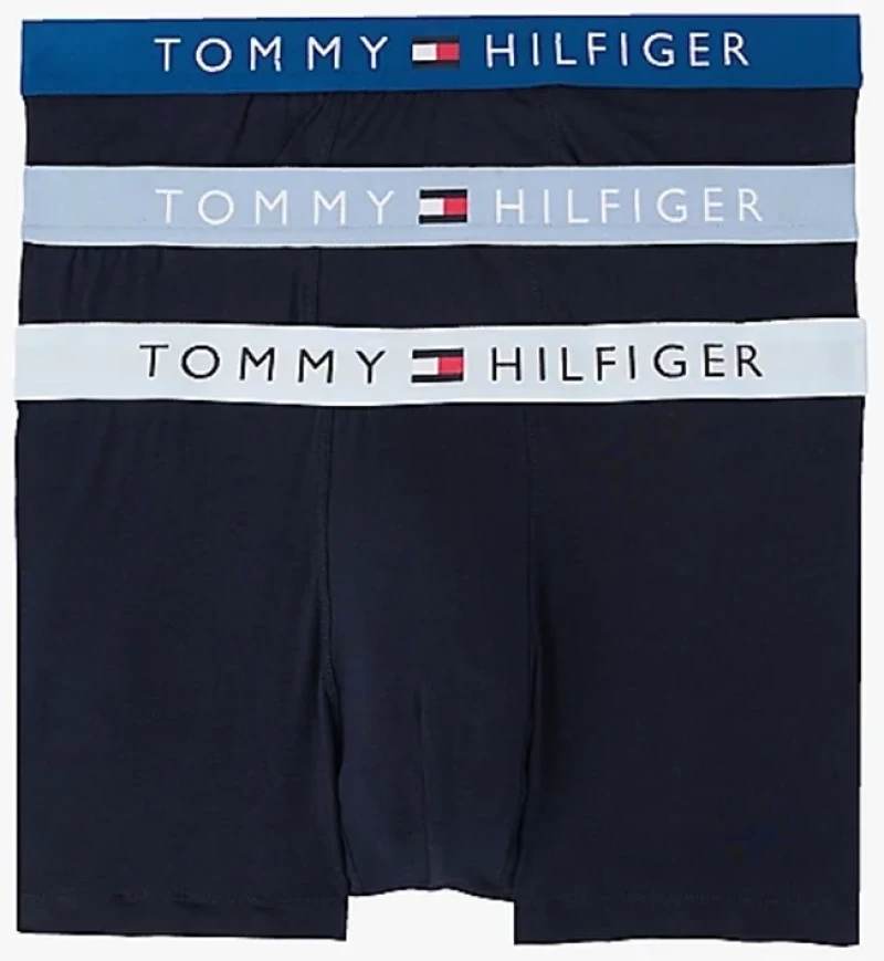 ΑΝΔΡΙΚΑ BOXER TOMMY HILFIGER 3ΤΜΧ. UM0UM03181 0TV