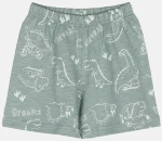 Πυτζάμα αγόρι "Dinosaurs" χακί