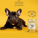 Υγρό φαγητό Ollo