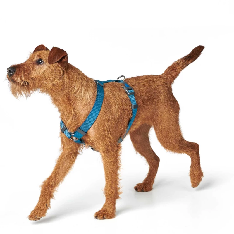 Σαμαράκι Σκύλου Hunter Harness London Vario Rapid M 2,5x58-101cm Γαλάζιο