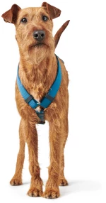 Σαμαράκι Σκύλου Hunter Harness London Vario Rapid M 2,5x58-101cm Γαλάζιο