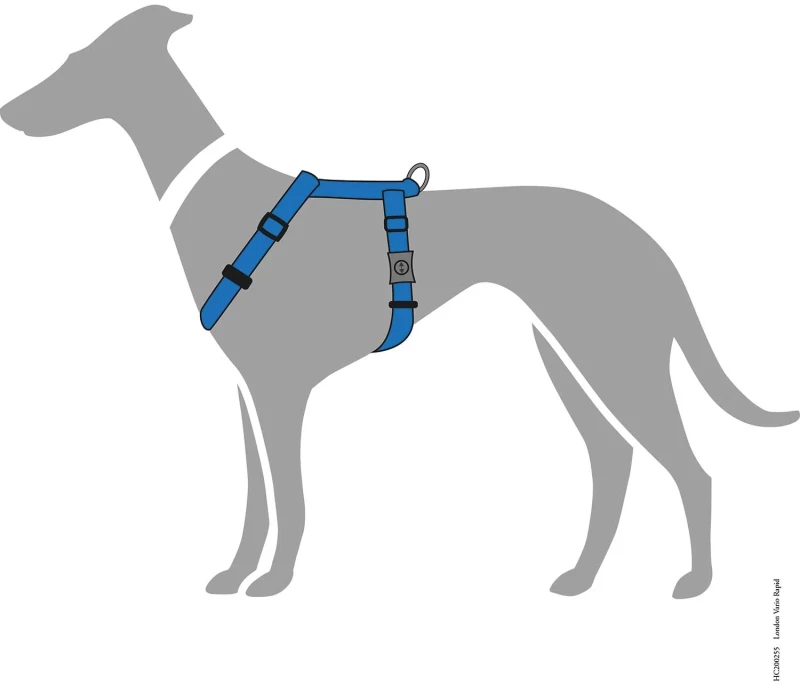 Σαμαράκι Σκύλου Hunter Harness London Vario Rapid M 2,5x58-101cm Γαλάζιο