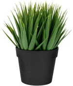 Πρασινάδα Με Γλαστράκι 89894 12x22cm Black-Green Πλαστικό