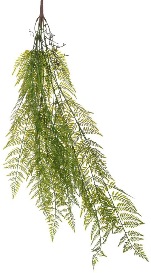 Ρίζα Φτέρη 89907 95cm Green