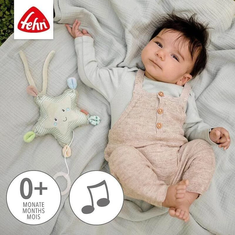Μουσικός Αστερίας - Fehn (054019)