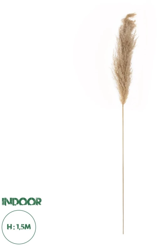 GloboStar® Artificial Garden PAMPAS GRASS 21217 Αποξηραμένο Διακοσμητικό Γρασίδι Πάμπας Μ10 x Π10 x Υ150cm