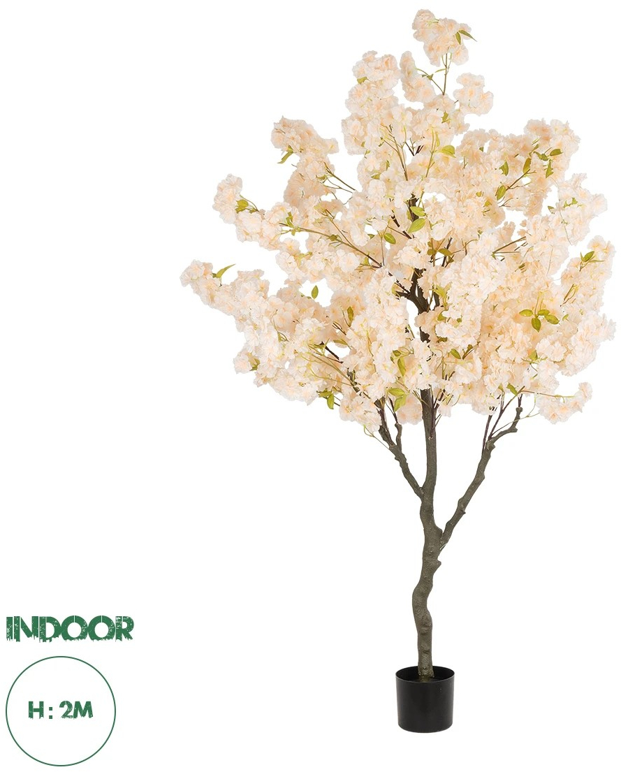 20680 GloboStar®  Artificial Garden SALMON CHERRY BLOSSOM TREE 20680 Τεχνητό Διακοσμητικό Δέντρο Απαλό Ροζ Άνθος Κερασιάς Υ200cm