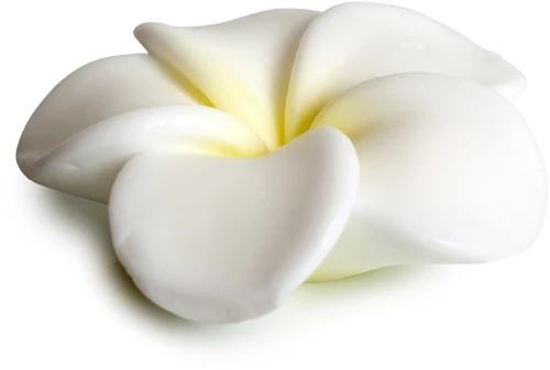 POKHARA BAR SOAP 105g "Γαρδένια"